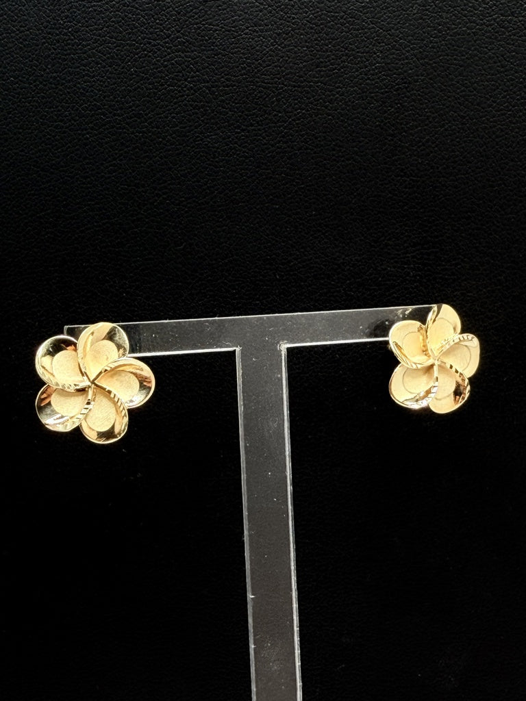 Aretes 10K 2.7 g