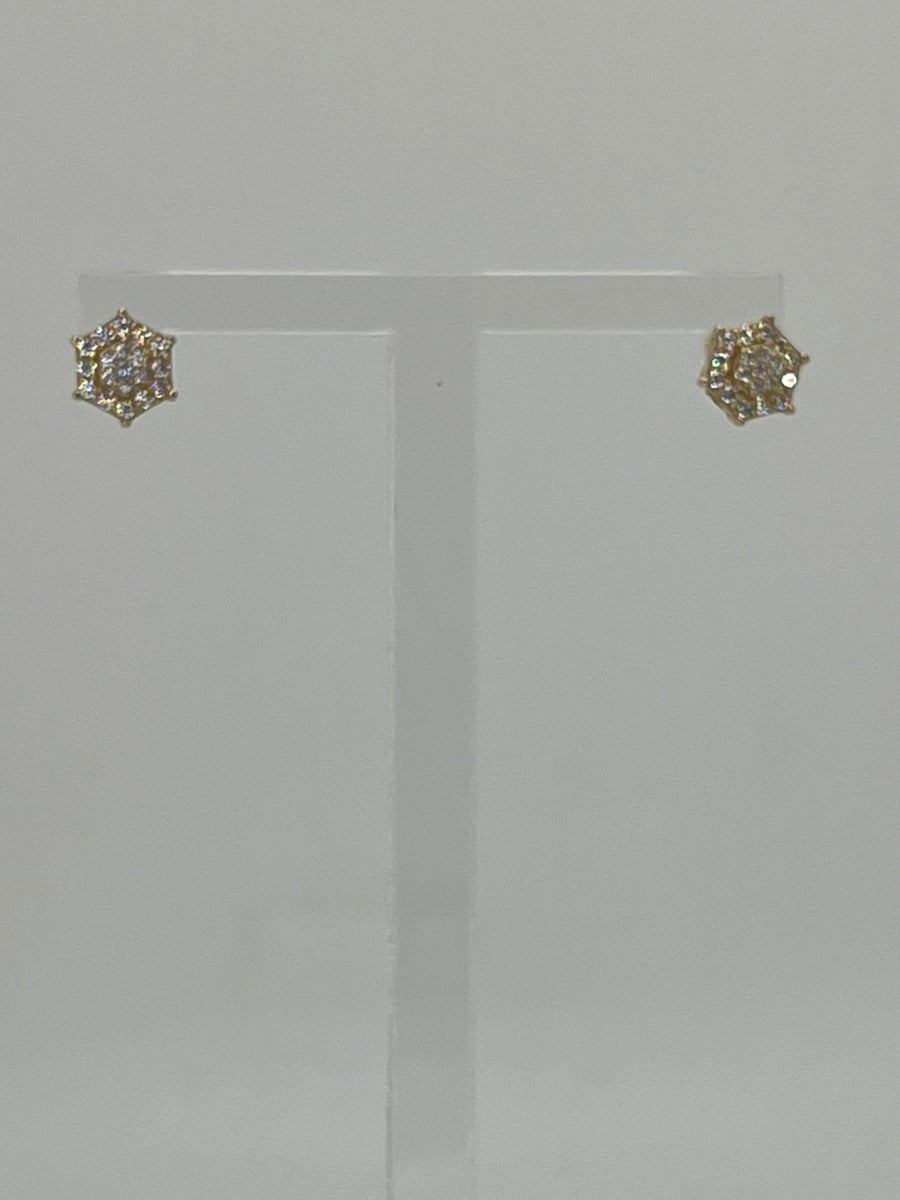 10K Earrings 1.6 g